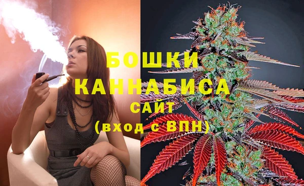 ГАЛЛЮЦИНОГЕННЫЕ ГРИБЫ Арсеньев